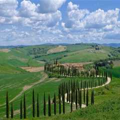 Savor the Journey: A Taste of Elegance on Scenic Wine Tours