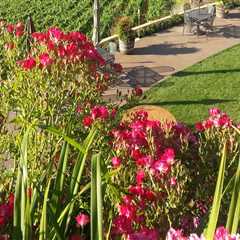 Elevate Your Weekend With Wine Tours Across Portland’s Premier Wineries