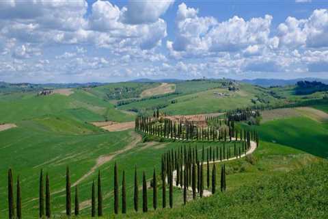 Savor the Journey: A Taste of Elegance on Scenic Wine Tours
