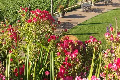 Elevate Your Weekend With Wine Tours Across Portland’s Premier Wineries