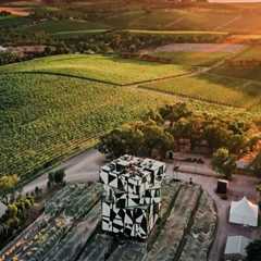 Savor the Journey: Exploring Vineyards Through Guided Wine Tours