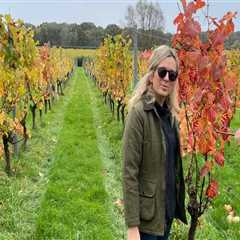 Wine Tours 101: Tips for a Smooth and Enjoyable Experience