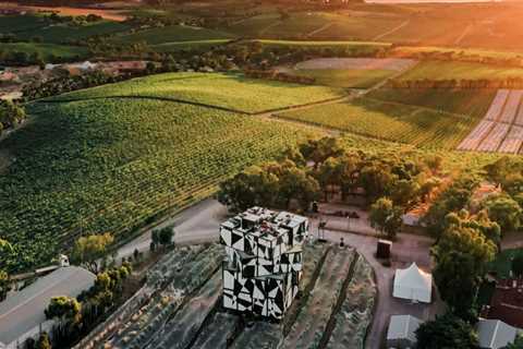 Savor the Journey: Exploring Vineyards Through Guided Wine Tours