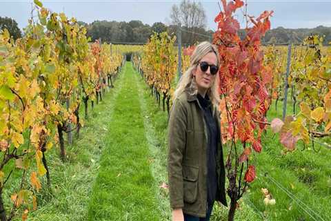 Wine Tours 101: Tips for a Smooth and Enjoyable Experience