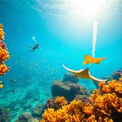 Snorkeling the Belize Barrier Reef: Best Spots and Marine Life