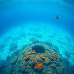 Great Blue Hole Belize: Ultimate Diving and Snorkeling Guide