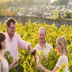 The Benefits of Booking Guided Vineyard Tours for a Richer Experience