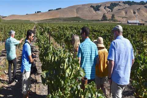 Exploring Vineyards: What to Expect on Your First Wine Tour