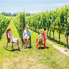 Seasonal Vineyard Tours: The Best Times of Year to Visit