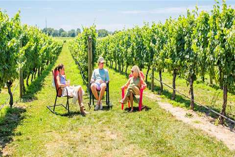 Seasonal Vineyard Tours: The Best Times of Year to Visit