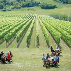 Moving Near Vineyards? Top Reasons to Book a Wine Tour First
