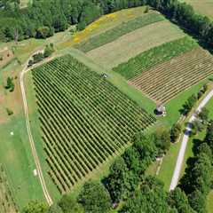 Exploring the Best Wineries and Breweries in Central North Carolina: A Guide to Top Tourist Spots