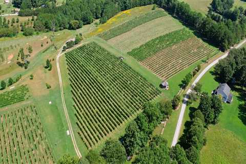 Exploring the Best Wineries and Breweries in Central North Carolina: A Guide to Top Tourist Spots
