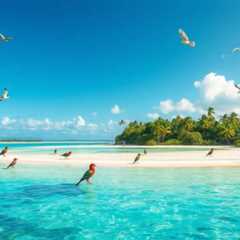 Belize Bird Island Travel Guide: Essential Tips to Explore