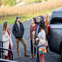 How to Enjoy Vineyard Tours Without the Stress of Driving