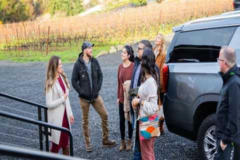 How to Enjoy Vineyard Tours Without the Stress of Driving